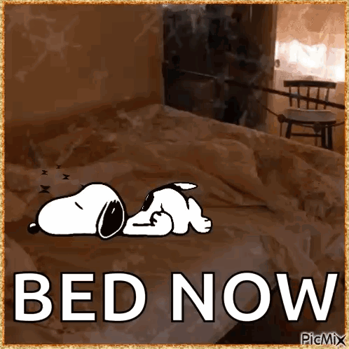 Snoopy Laying on Bed Bed Now
