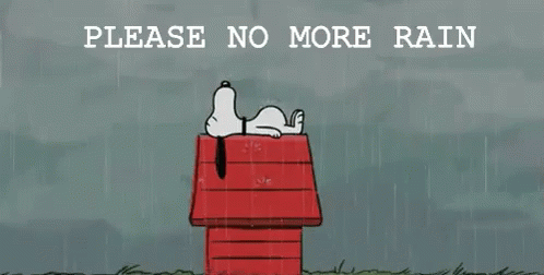 Snoopy Lying on Red House in Rain