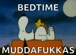 Snoopy Lying On Roof Bedtime GIF
