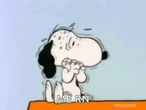 Snoopy on Ledge Saying Me RN