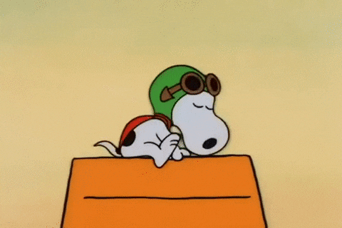 Snoopy Pilot Costume GIF