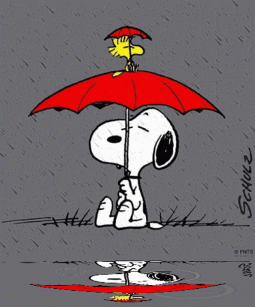 Snoopy Sitting On Rain GIF