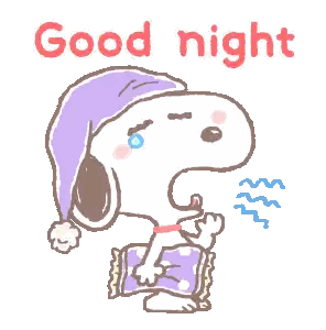 Snoopy Sleep Cap Pillow Good Night