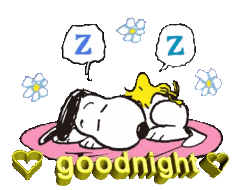 Snoopy Sleeping Pink Pillow Goodnight