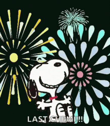 Snoopy Standing at Fireworks Saying Last Chemi