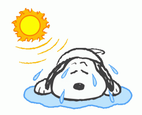 Snoopy Staying Cool On Hot Days GIF