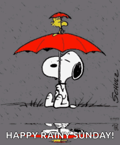 Snoopy Sunday Red Umbrella GIF