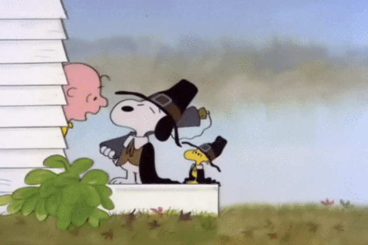 Snoopy Thanksgiving Gif - IceGif