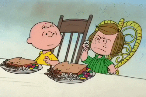 Snoopy Thanksgiving Fighting Over GIF