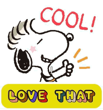 Snoopy Thumbs Up Cool Love That