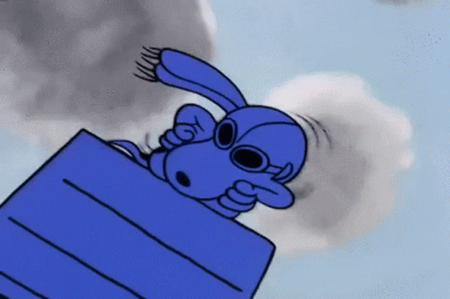 Snoopy With Goggles And Blue Box GIF