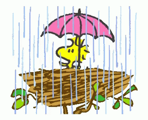 falling rain animated gif