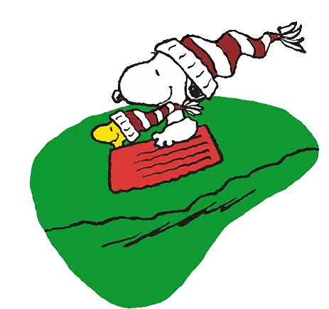 Snoopy Woodstock on Blanket