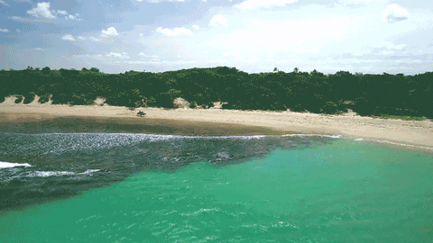 Snorkeling Catherine Bell Fiji GIF