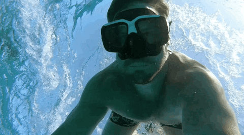 Snorkeling Dive Guy GIF