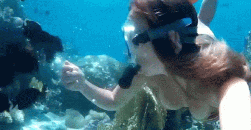 Snorkeling Girl Black Fishes GIF