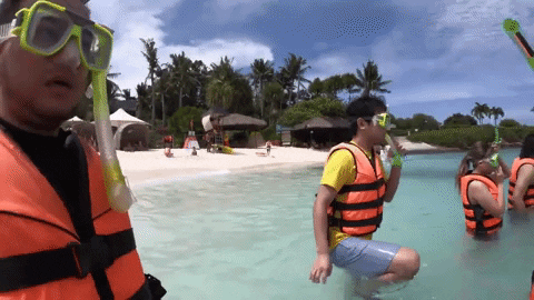 Snorkeling Vlog GIF