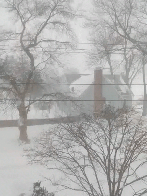 Snow Blizzard Whiteout Country Homes GIF