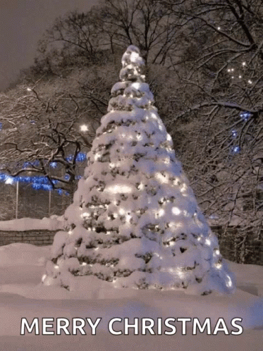 Snow Covered Christmas Tree Merry Christmas GIF