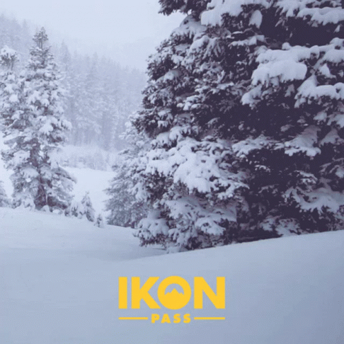 Snow Covered Trees With Ikon Pass In Yellow GIF