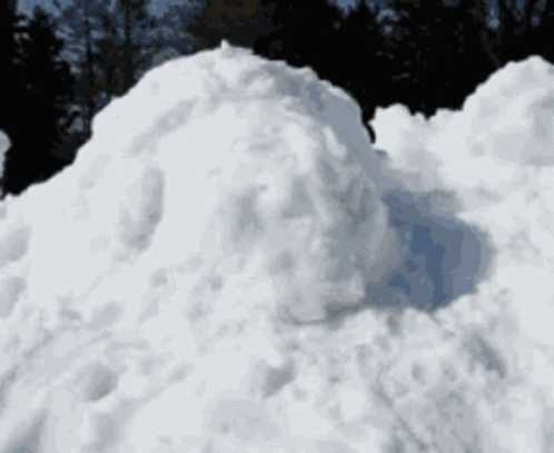 Corgi Covered In Snow During Snow Day GIF