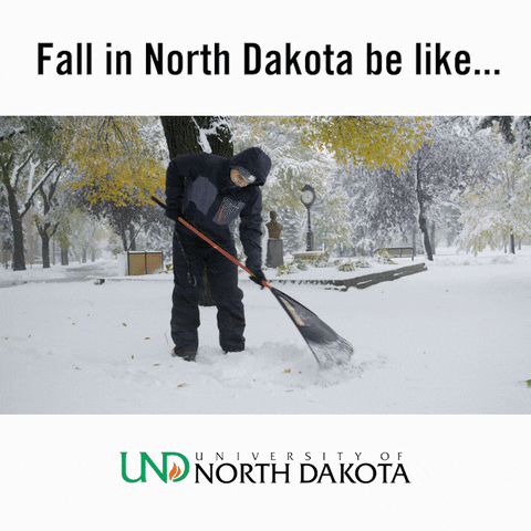 Snow Fall In North Dakota GIF