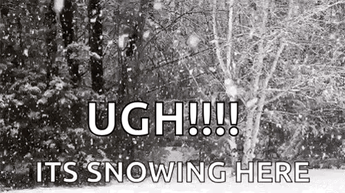 Snow Falling in Forest Ugh It's Snowing
