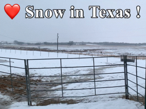 Snow In Texas GIF