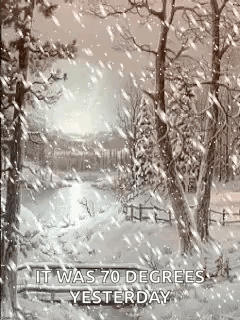 Snow in Woods Despite 70 Degrees