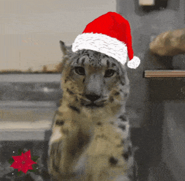 Snow Leopard Christmas Gif GIF