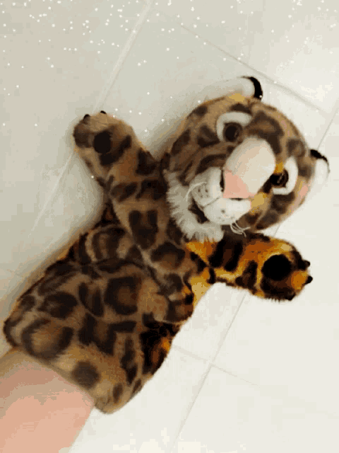Snow Leopard Gif GIF