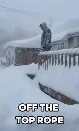Snow Storm Diving Off The Top Rope GIF