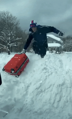 Travelling With Suitcase In Snow Storm GIF