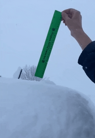 Measuring The Snow Storm GIF