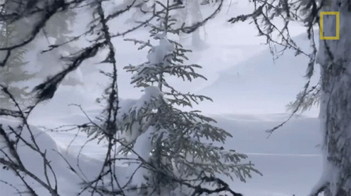 Strong Winds Blowing Snow Storm GIF