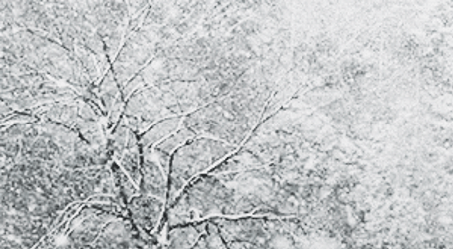 Snow Storm Snow Falling From Sky GIF
