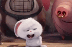 Snowball Bunny Dancing GIF