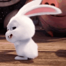 Snowball Bunny Shaking Bum GIF