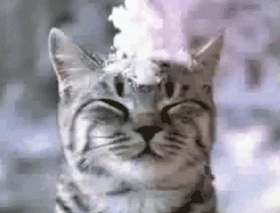 Snowball Fall Cute Cat GIF