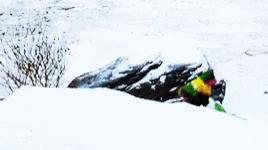 Snowball Fight Will Ferrell GIF
