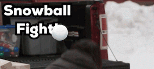 Couple Playing Snowball Fight GIF