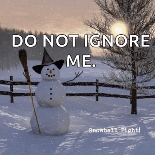 Snowball Fight Do Not Ignore Me GIF