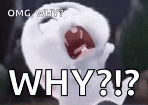 Snowball Omg Why GIF