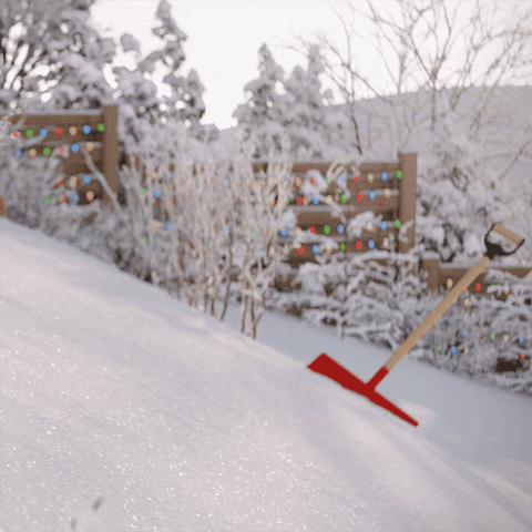 Snowball Winter Snow Slide Hamster GIF