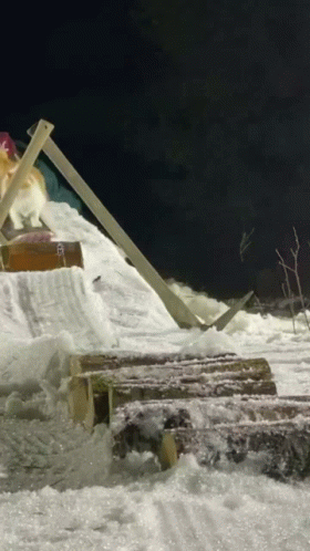 Snowboarding Cat Slide GIF