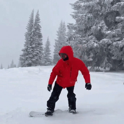 Snowboarding Snowboarders Winter Snow Gear GIF
