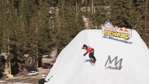 Snowboarding Trick Back Flip GIF