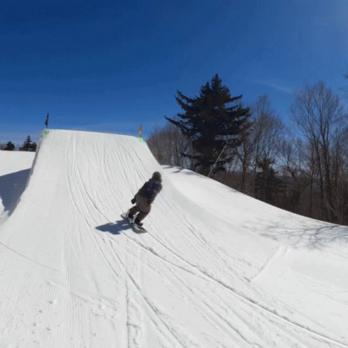 Snowboarding Trick Spin Backflip GIF