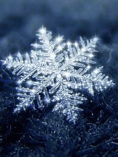 Shining Snowflake On Ground GIF