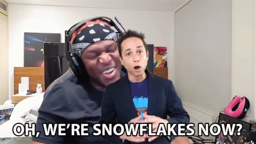 Oh, We're Snowflake Now? GIF